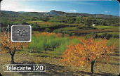 Carte 1163