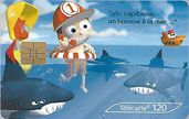 Carte 132